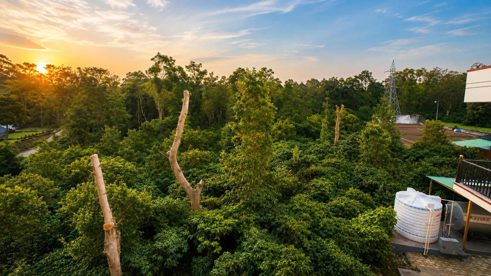 Plantation View
