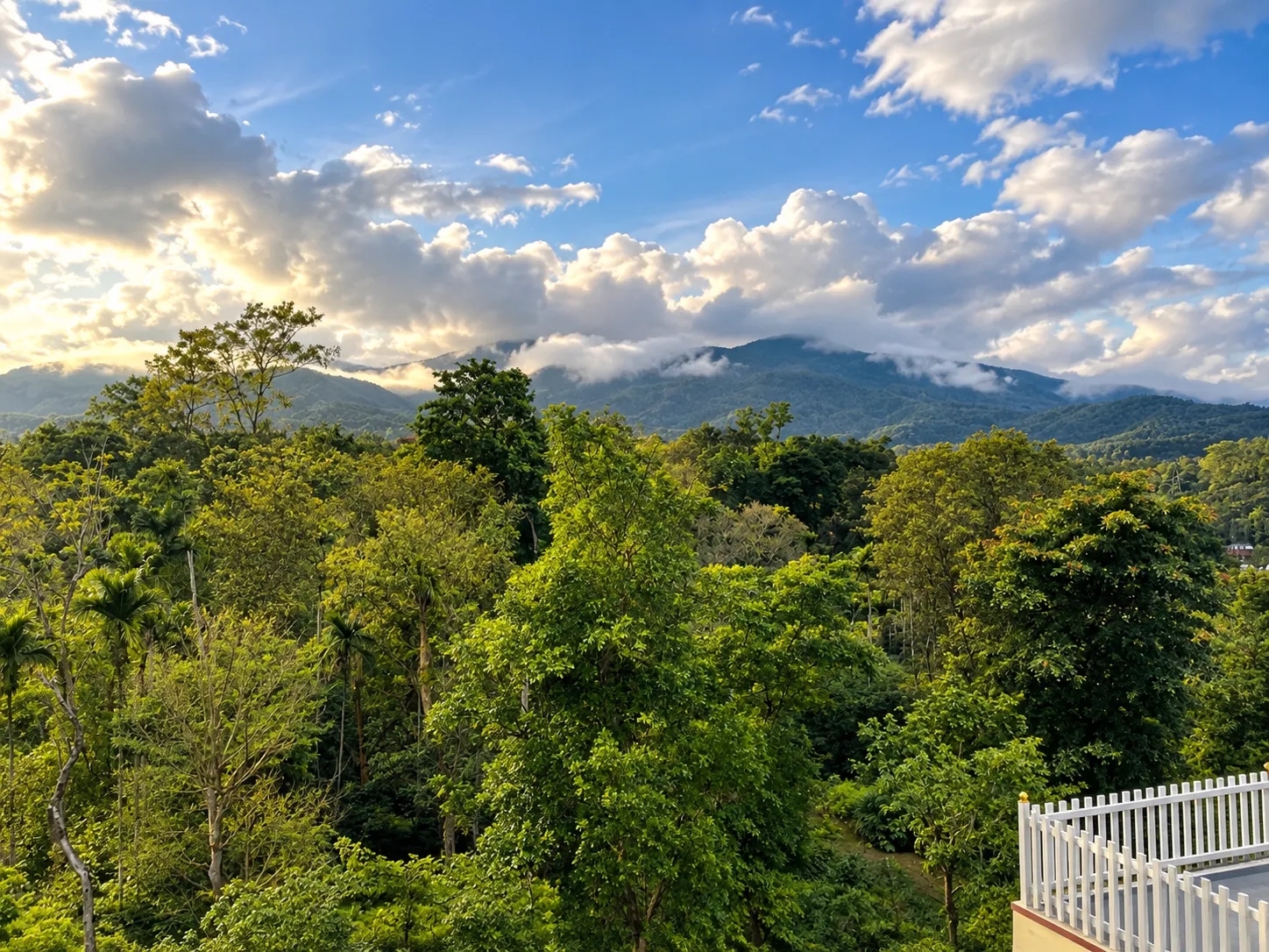 Mountain view